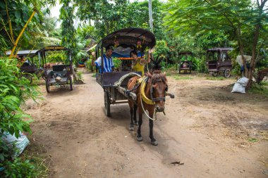 Can Tho, Vietnam - Ağustos 2017: Bir çift at üstünde Mekong Deltası 'nı gezmek için at arabasıyla