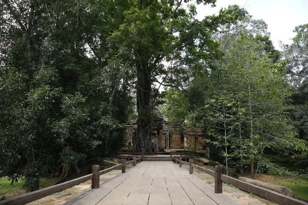 Starověké Ruiny Angkor Wat Siem Sklizeň Kambodža — Stock fotografie