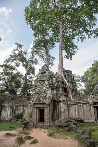 Ruínas Antigas Templo Prohm Angkor Wat Siem Reap Cambodia — Fotografia de Stock