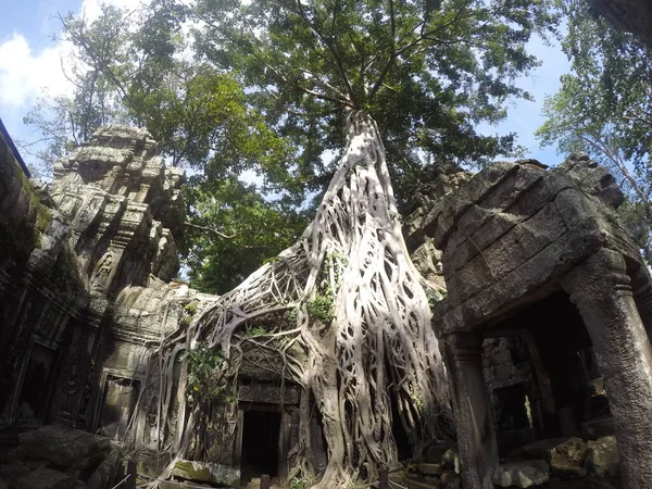 Angkor Wat Siem Θερισμού Cambodia — Φωτογραφία Αρχείου