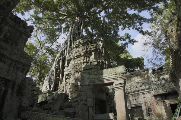 Angkor Wat Siem Θερισμού Cambodia — Φωτογραφία Αρχείου