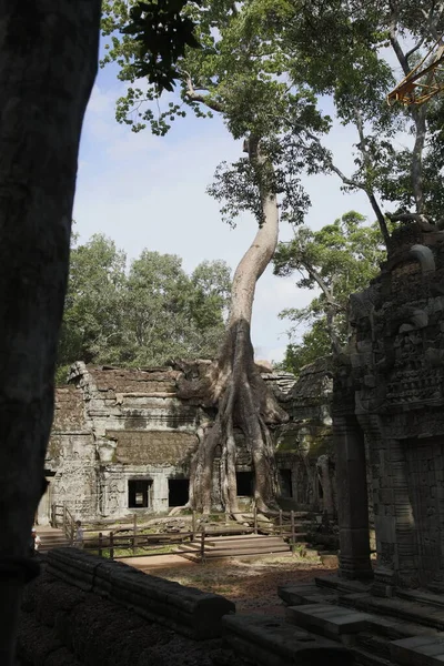 Angkor Wat Siem Θερισμού Cambodia — Φωτογραφία Αρχείου