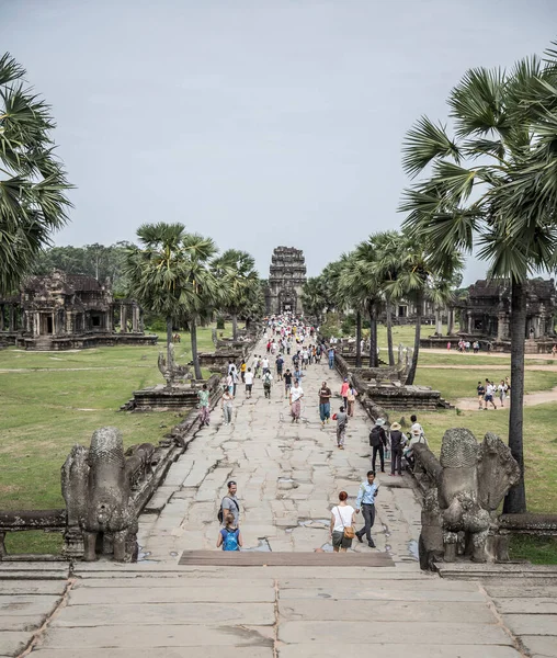 Αρχαία Ερείπια Του Angkor Wat Siem Θερίσει Cambodia — Φωτογραφία Αρχείου