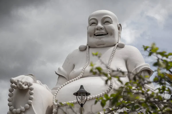 Reusachtige Boeddha Kijkend Naar Lucht Mekong Delta Vietnam — Stockfoto