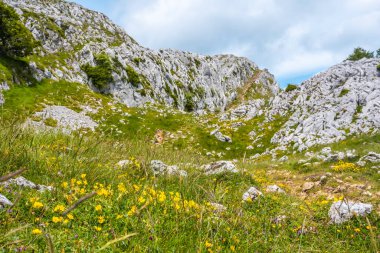 Aizkorri Dağı 1523 metre, Guipuzcoa 'nın en yüksek dağı. Bask Ülkesi. Yükselişte olan güzel doğa. San Adrian 'a doğru yükselin ve Oltza arazilerinden geri dönün.