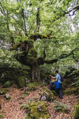 Aizkorri Dağı 1523 metre, Guipuzcoa 'nın en yüksek dağı. Bask Ülkesi. San Adrian 'a doğru git ve Oltza arazisinden geri dön. Genç bir adam Aizkorri Dağı ormanında yürüyor.