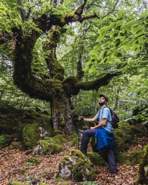 Aizkorri Dağı 1523 metre, Guipuzcoa 'nın en yüksek dağı. Bask Ülkesi. San Adrian 'a doğru git ve Oltza arazisinden geri dön. Aizkorri Dağı ormanında mavi elbiseli genç bir adam.