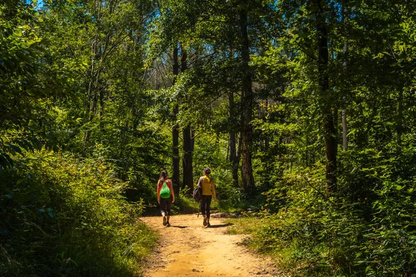 Mulheres Felizes Andando Floresta Verão Espanha — Fotografia de Stock