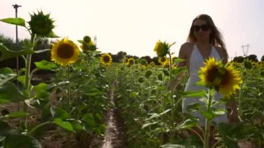 Genç, sarışın, beyaz bir kadınla hayat tarzı. Bir yaz öğleden sonra beyaz bir elbiseyle ayçiçeği tarlasında geziniyor.