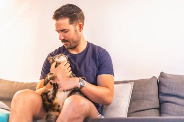 Koyu renk saçlı, mavi tişörtlü, sevimli gri ve beyaz evcil kedisi olan bir beyaz. Kedi adamın en iyi arkadaşı. Kanepede oturan güzel kediyi okşamak.