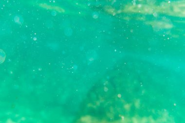 San Sebastin, Gipuzkoa 'ya çok yakın Zarautz kasabasında güzel bir deniz yatağına dalmak. Bask Ülkesi. Güzel deniz yatağı