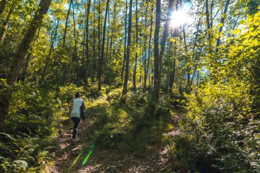 Errenteria kasabasındaki Listorreta doğal parkını ziyaret eden genç bir kız Bezelye de Aya parkında veya Aiako Harria parkında. Gipuzkoa, Bask Ülkesi