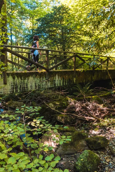 Žena Batohem Chůze Dřevěném Mostě Lese — Stock fotografie