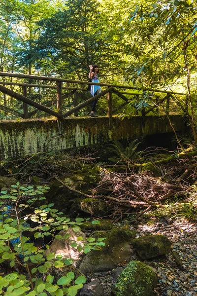 Frau Mit Rucksack Läuft Auf Holzbrücke Wald — Stockfoto