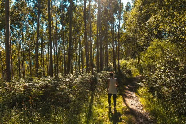 Woman Walking Forest Sunny Day Back View — Stock Photo, Image