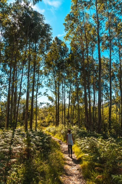 Mulher Andando Floresta Dia Ensolarado Vista Traseira — Fotografia de Stock