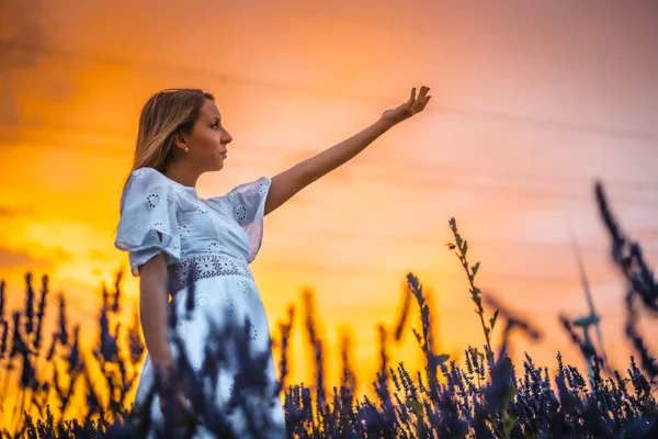 Una Giovane Donna Caucasica Bionda Vestita Bianco Campo Coltivato Lavanda — Foto Stock