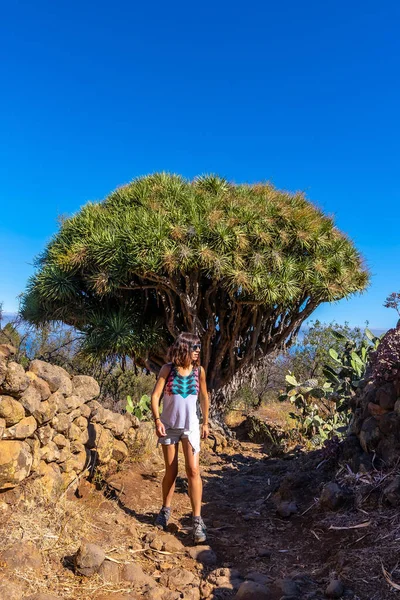 Uma Jovem Mulher Num Dragão Gigante Trilho Las Tricias Garafia — Fotografia de Stock