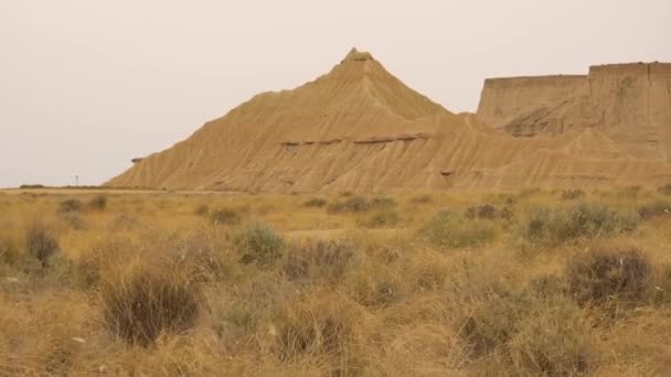 Yazın Bardenas Reales Kurutulmuş Otların Detayları Yaşam Tarzı Navarra Spanya — Stok video