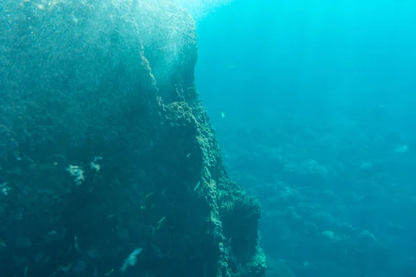 Όμορφος Βυθός Στην Παραλία Του Charco Verde Στο Νησί Palma — Φωτογραφία Αρχείου