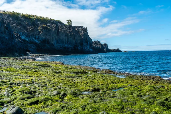 여름에는 라팔마 베르데 해변에 식물이다 카나리아 제도의 — 스톡 사진