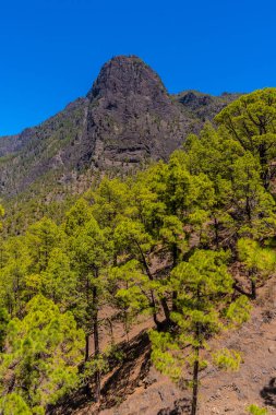 La Palma adasındaki La Cumbrecita Dağları, Kanarya Adaları 'ndaki Caldera de Taburiente' nin yanında. İspanya