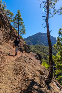 La Cumbrecita 'nın tepesine doğru yürüyen genç bir adam Caldera de Taburiente' nin yanında, La Palma Adası, Kanarya Adaları, İspanya
