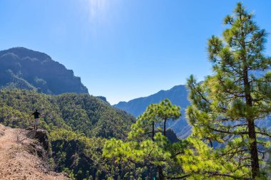 La Cumbrecita 'nın tepesinden manzaraya bakan genç bir adam Caldera de Taburiente' nin yanında, La Palma adası, Kanarya Adaları, İspanya