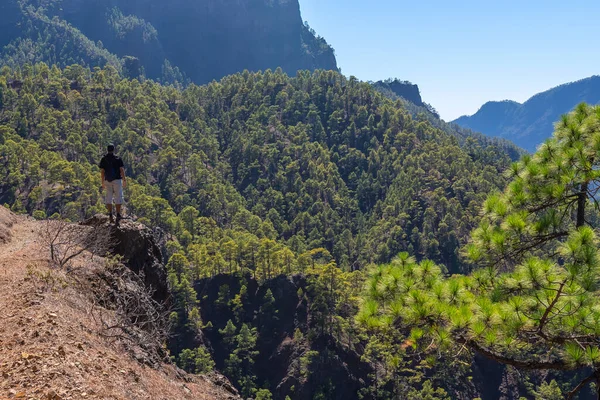 Ein Junger Mann Betrachtet Die Landschaft Auf Der Wanderung Vom — Stockfoto