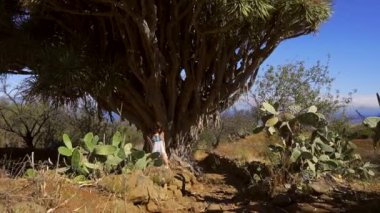 Las Tricias yolunda dev bir ejderha ağacının altında yürüyen genç bir kadın. Garafia kasabası, La Palma adasının kuzeyinde, Kanarya Adaları.