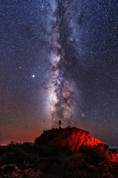 Silhouette of a young man under the stars looking at the lactea way of the Caldera de Taburiente near the Roque de los Muchahos on the island of La Palma, Canary Islands. Spain, astrophotography