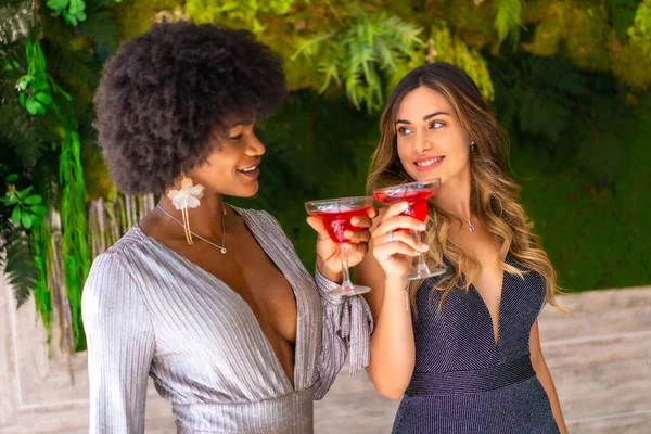 Gala elbiseli iki arkadaş otelde bir partide kokteyl içiyorlar, yaşam tarzında. Cazibeli yaşam tarzı, özel parti