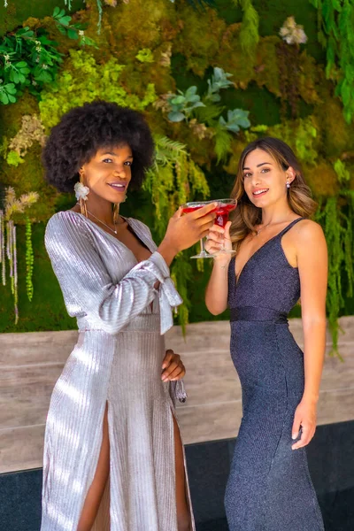 Gala elbiseli iki arkadaş otelde bir partide kokteyl içiyorlar, yaşam tarzında. Cazibeli yaşam tarzı, özel parti
