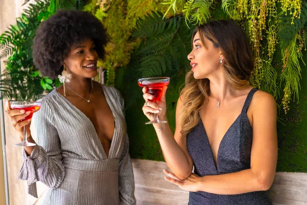 Gala elbiseli iki arkadaş otelde bir partide kokteyl içiyorlar, yaşam tarzında. Cazibeli yaşam tarzı, özel parti