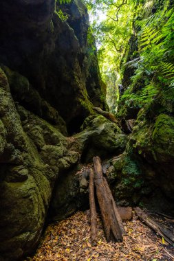 Los Tinos doğal parkının kuzeydoğu kıyısındaki La Palma, Kanarya Adaları 'ndaki kanyona garip bir giriş. İspanya