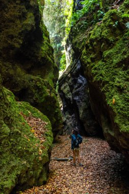 Los Tinos doğal parkının kanyonunda yürüyen genç bir kadın kuzeydoğu kıyısındaki La Palma, Kanarya Adaları 'nda. İspanya
