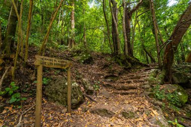Los Tinos 'un kuzeydoğu kıyısındaki doğal parkından başlayıp Kanarya Adaları' ndaki La Palma Adası 'na ulaşacağız. İspanya