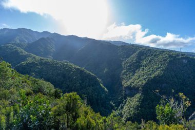 Kuzeydoğu kıyısındaki Cubo de la Galga doğal parkının Kanarya Adaları 'ndaki La Palma adasının görüş açısı. İspanya