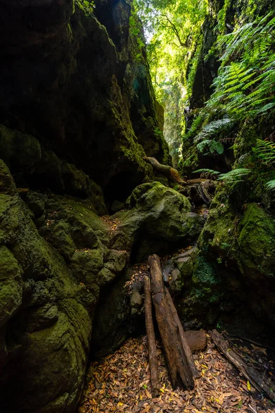 Extraño Acceso Para Entrar Cañón Del Parque Natural Los Tinos — Foto de Stock