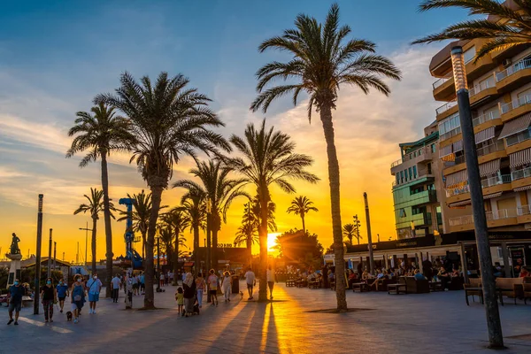 Promenade Avec Palmiers Coucher Soleil Dans Ville Côtière Torrevieja Alicante — Photo