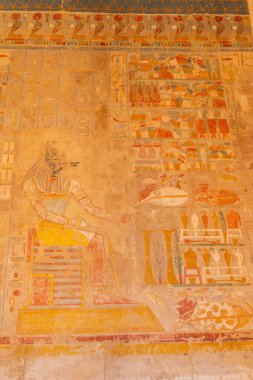 Luxor 'daki Morg Tapınağı Hatshepsut' taki Mısır çizimleri. Mısır