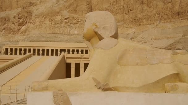 Escultura Egípcia Entrada Templo Funerário Hatshepsut Luxor Egito — Vídeo de Stock