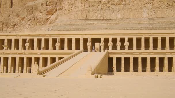 Genç Bir Fotoğrafçı Luxor Mısır Daki Hatshepsut Cenaze Tapınağını Ziyaret — Stok video