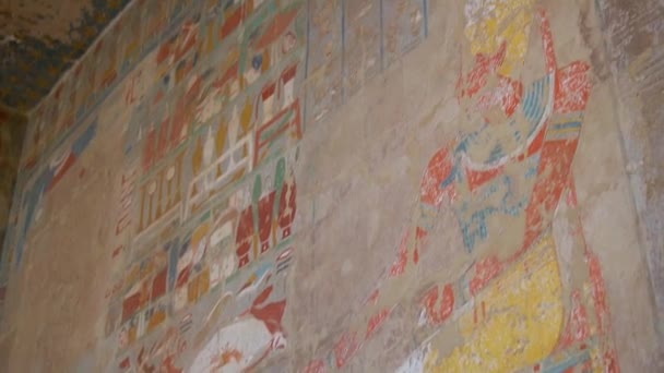 Pinturas Preciosas Templo Funerário Hatshepsut Luxor Egito — Vídeo de Stock