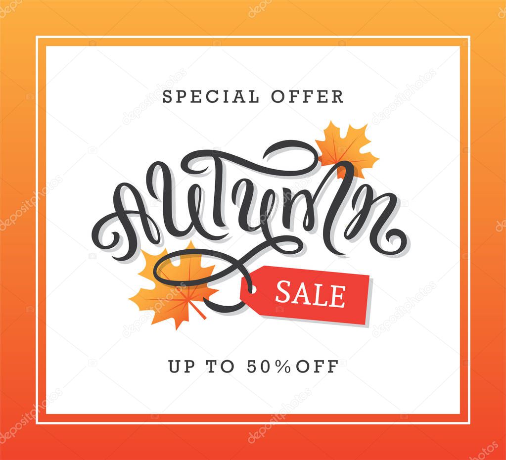 Autumn sale banner design with hand drawn brush lettering, maple leaves and tag illustration.