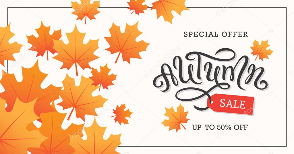Autumn sale banner design with hand drawn lettering and maple leaves. Fall background.