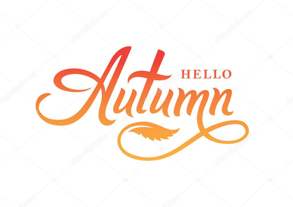 Hello autumn calligraphy text for card, banner or poster design. Hand drawn lettering isolated on white background.