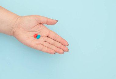 Different types of beetles on white background. Study guide, insect study concept. Flat lay style, direct above.