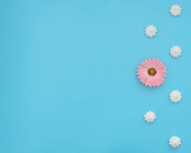 Mavi arka planda tek çiçekli leziz beyaz kremalar. Mutlu günler, kahvaltı, günaydın kavramları. Çay zamanı. Tebrik kartı ya da davetiye. Kopya alanı ile düz uzanma biçimi.