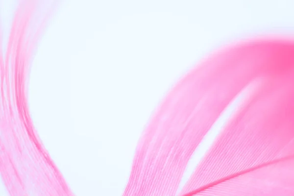 Fondo abstracto desenfocado con pluma rosa borrosa. Cerrar imagen. Imagen de ensueño de enfoque suave. Estilo laico plano con espacio de copia. Tarjeta, portada del cuaderno. — Foto de Stock